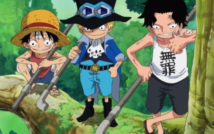 panthive's tweet photo. Eu amo que ASL são tão irmãos que o sabo segue os passos do pai do luffy, o luffy do pai do ace e todos os três querem quebrar o pai do sabo na porrada https://t.co/kPgpIcXm5Y