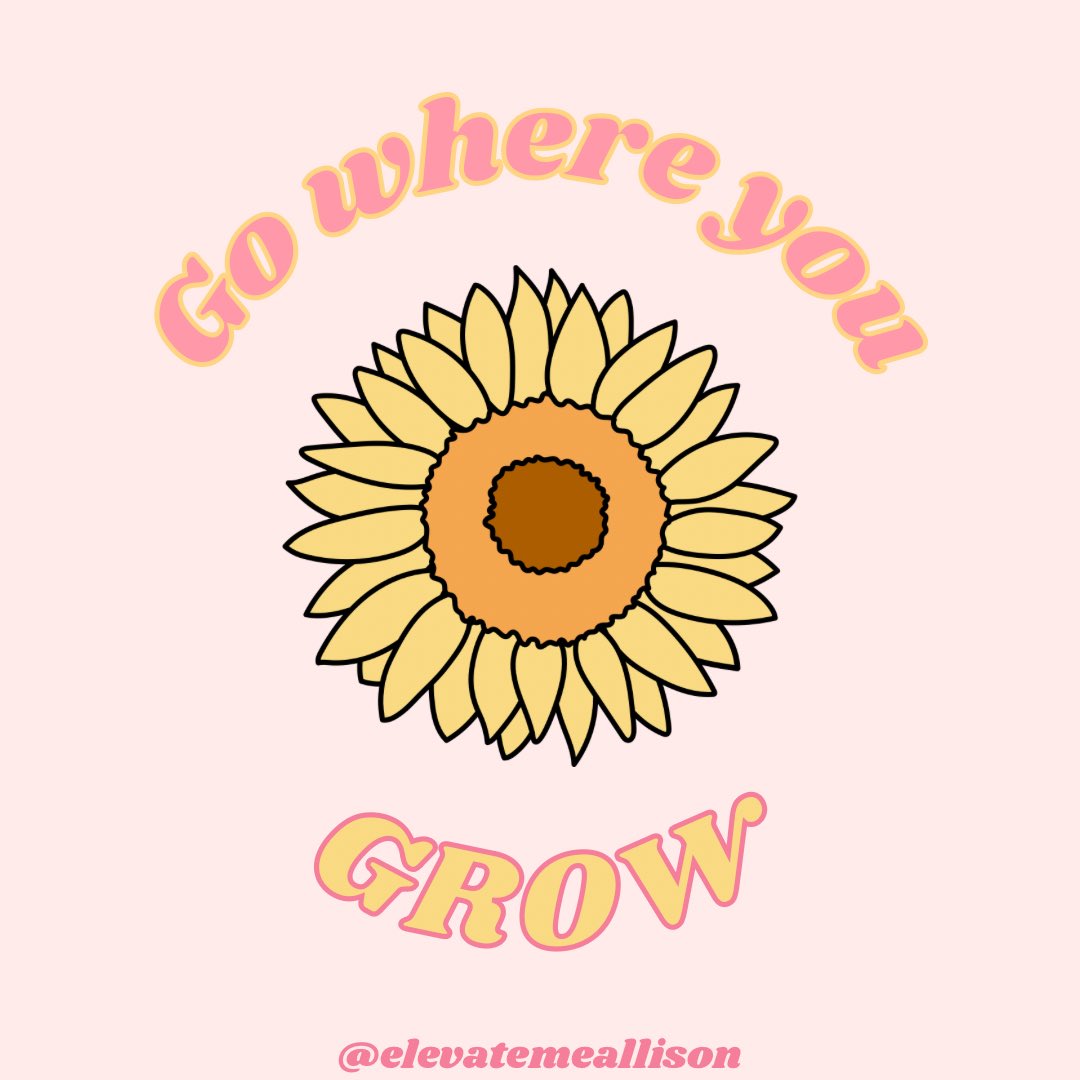 ElevateAllison's tweet photo. This. https://t.co/RYUVszJOsy