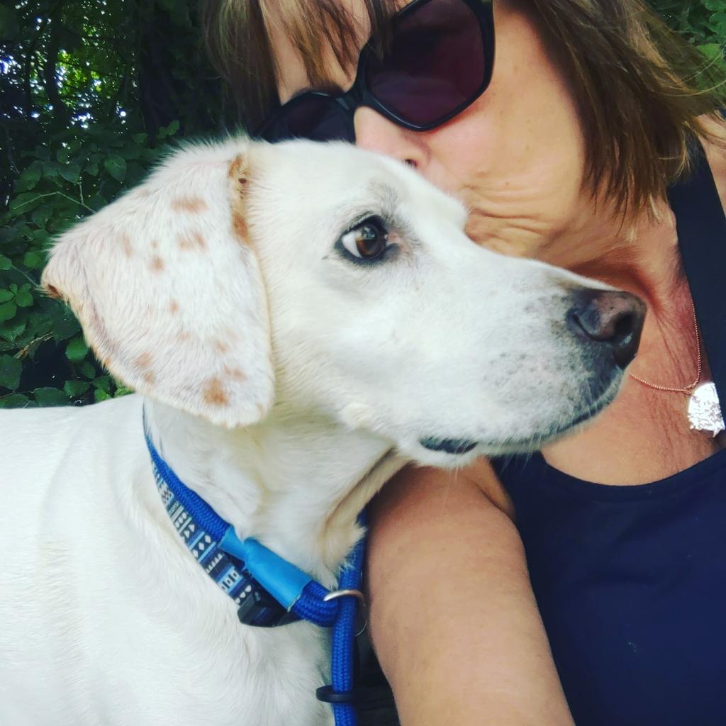 jayneybarr's tweet photo. @JDMorgan Dog love 🙂❤️ https://t.co/38Iunwgz94
