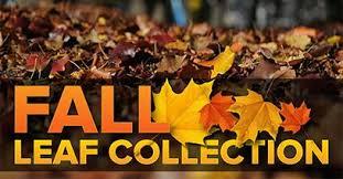 Leaf collection will begin in New Brighton Borough on Mon, 10/9 and continue through 12/1. Collection will follow the posted street sweeping schedule. Leaves should be placed along the edge of the street and be free from tree branches, brush, stones, grass clippings, or debris.