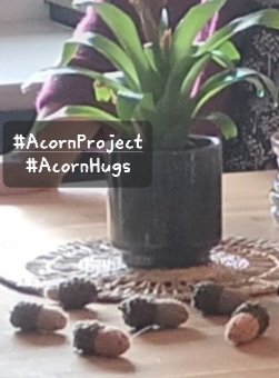 M33CMK's tweet photo. #AcornProject #AcerHouse #AcornHugs
A huge thank you to the "Marvellous Marilyn"..who has again volunteered and knitted us more super soft pocket 'hugs' ...this time some beautiful acorns...🙏🙏these hugs are so special. https://t.co/SJmXMEHxun