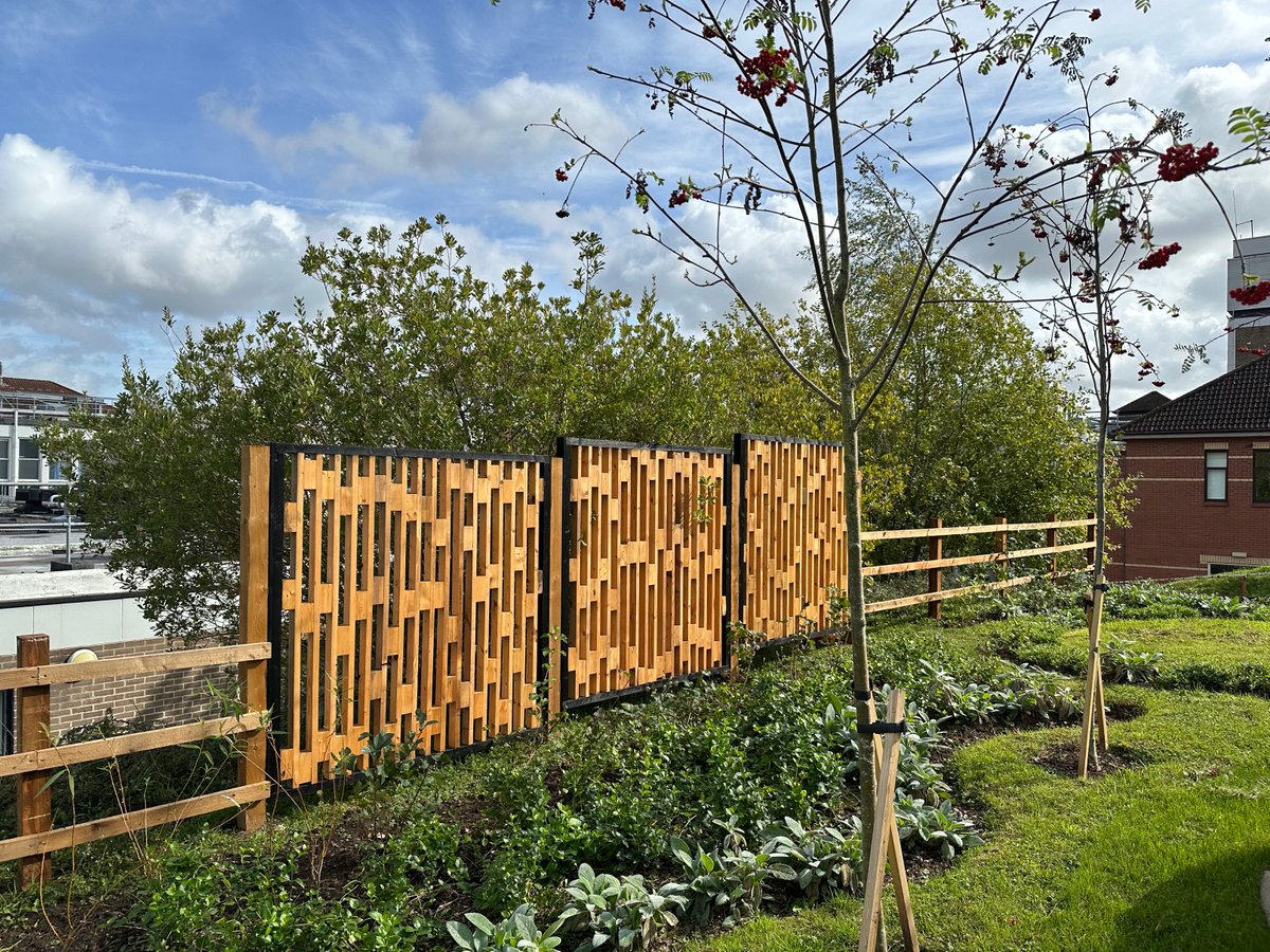 Air Arts tweet media