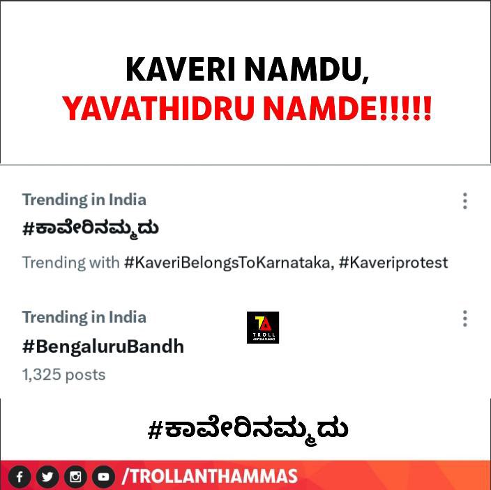 Troll Anthammas tweet media