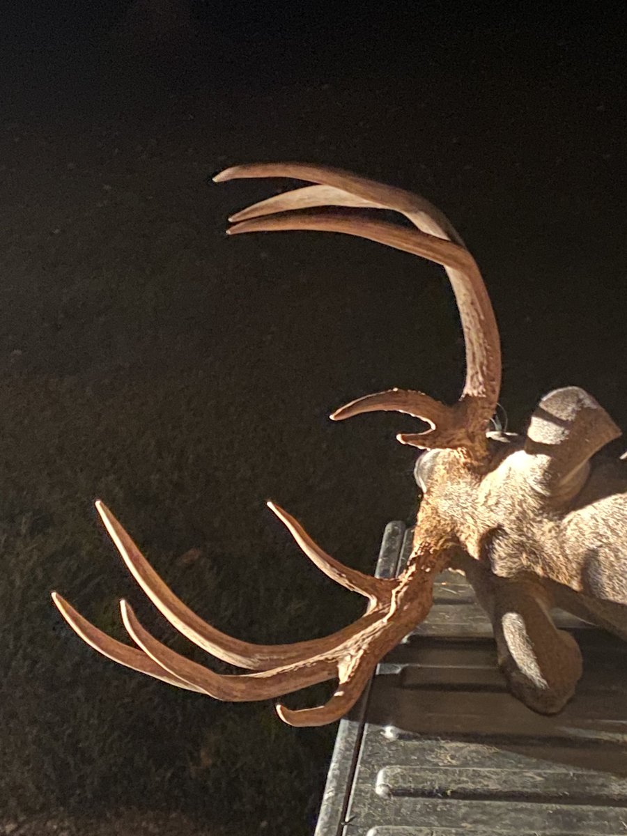 joshcurry11's tweet image. Got the one we have watched all summer on opening day…blessed to make this memory with family…I took him on my father in law’s land and my dad @LightMinistries helped me recover/drag him out! What a day!!