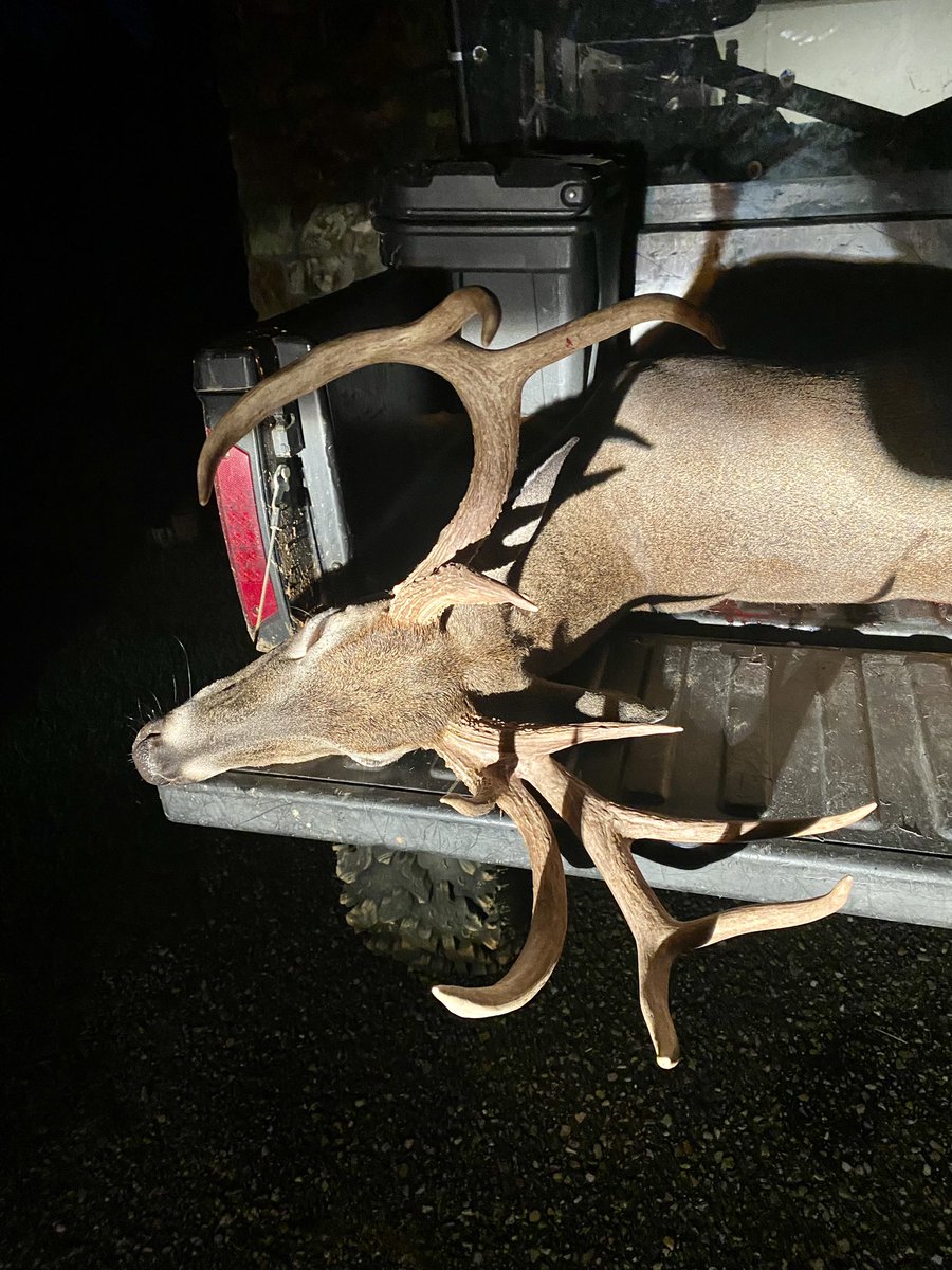 joshcurry11's tweet image. Got the one we have watched all summer on opening day…blessed to make this memory with family…I took him on my father in law’s land and my dad @LightMinistries helped me recover/drag him out! What a day!!