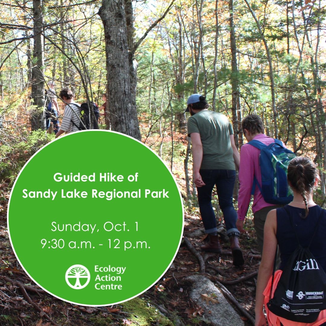 On Sunday, Oct. 1 at 9:30 a.m., join a guided hike at #SandyLake Regional Park to learn about this gorgeous park in the HRM, and also about the threats to it from proposed fast-tracked development!⁠
⁠
For more info and to register, visit sandylakecoalition.ca/hikes

#GuidedHike