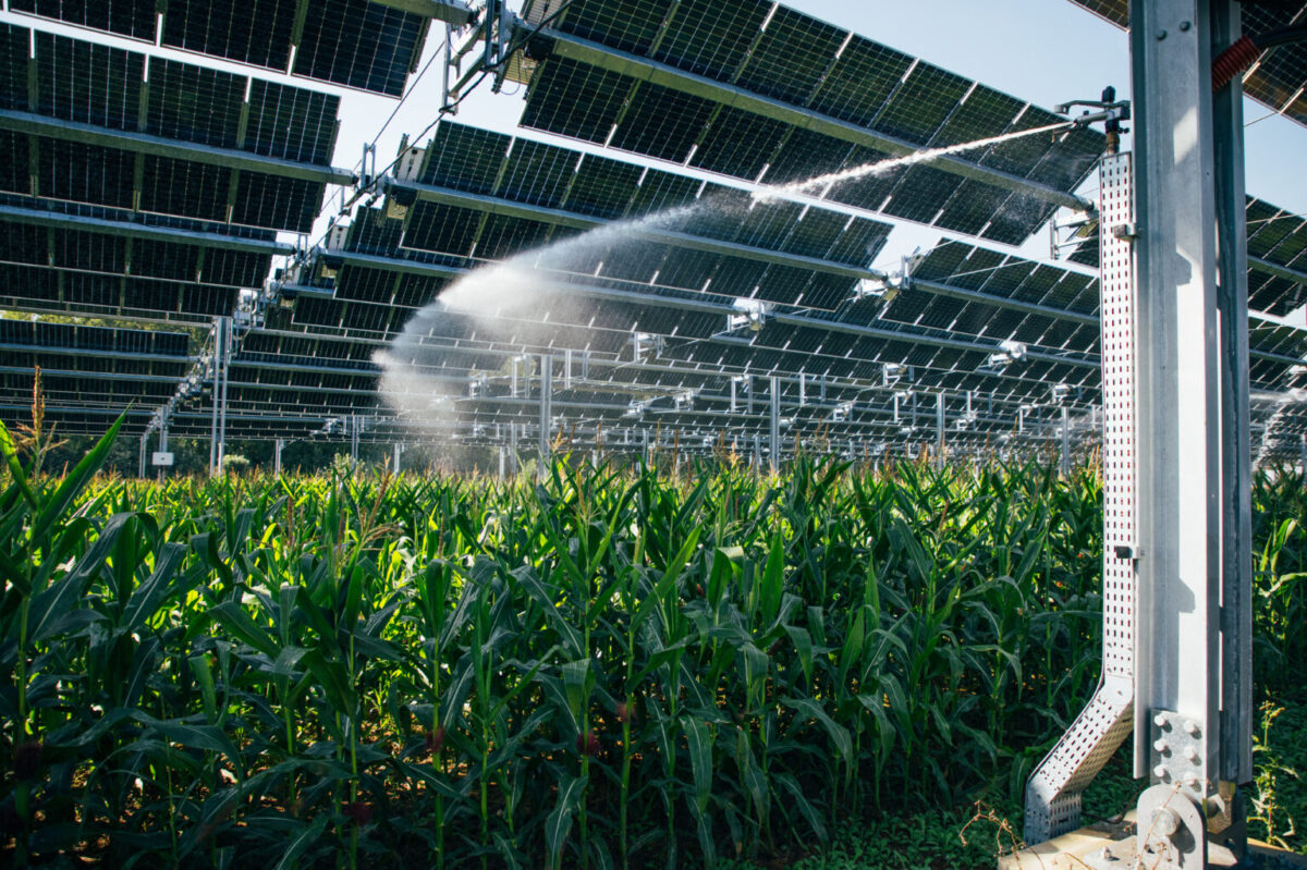 pvmagazine's tweet image. French developer builds agrivoltaics facility with irrigation system: TSE has installed a 2.9 MW agrivoltaics plant in northern France with sensors to trigger an irrigation system. The irrigation setup can… #renewableenergy #solarenergy #sustainability dlvr.it/SwZnt4