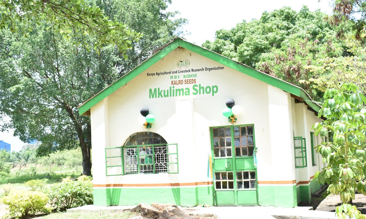 kalromkulima's tweet photo. This week, we officially launch KALRO Mkulima Shops in selected Research Centres in the country. The shops are selling points for KALRO seeds, seedlings &amp; other products. The shops are situated at KALRO Kabete, Kitale, Kibos, Njoro, Embu, Mwea, Kandara, Katumani, Matuga &amp; Alupe. https://t.co/veo2J4T1rf