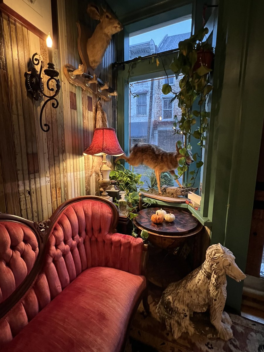 GoddessBellaa22's tweet photo. Good girls get treated to cock-tails and tartare #finedining #goodgirl #praisekink #kinky #fetish #femme #findomgodess #findom https://t.co/T8RR9I1Oyy