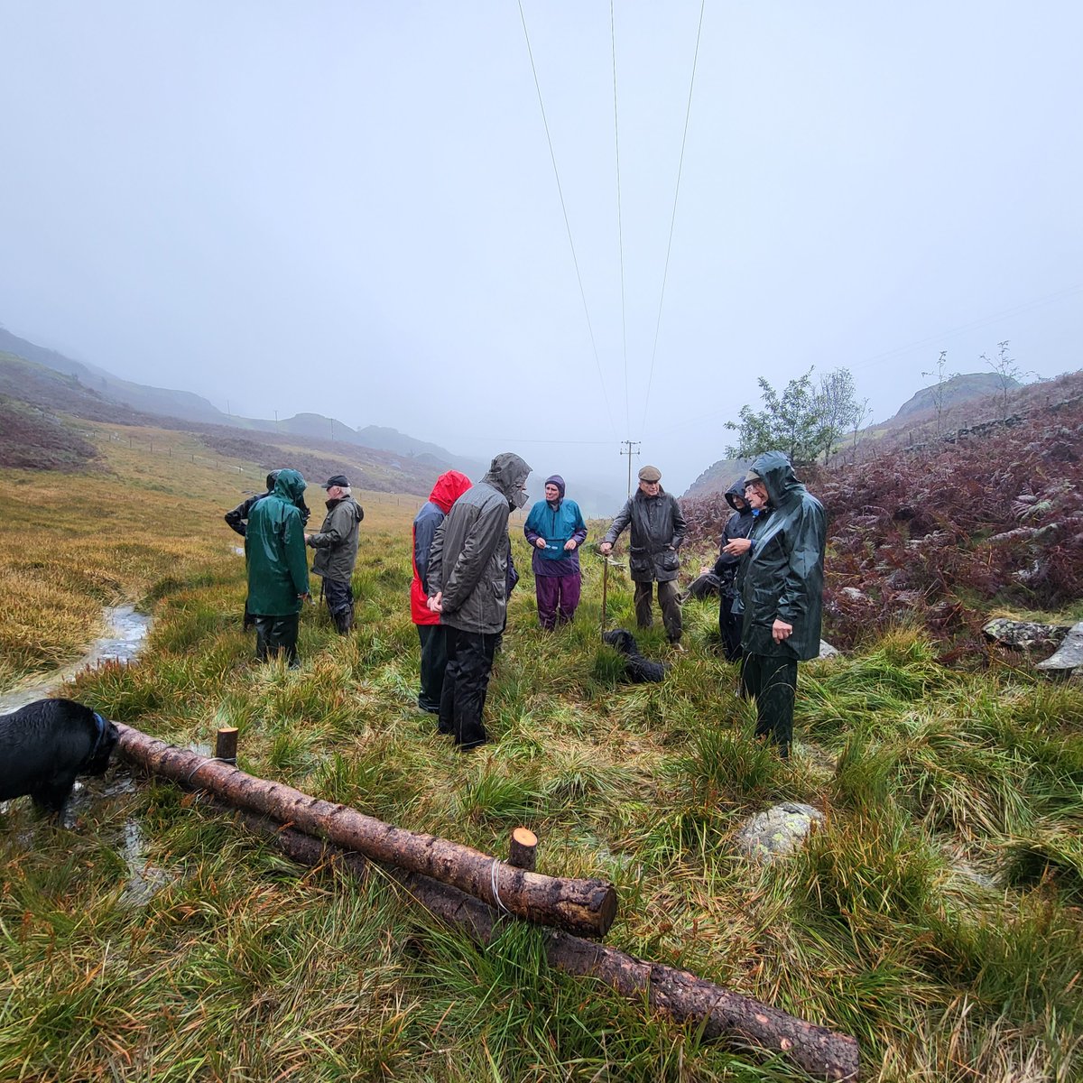 SCRiversTrust's tweet photo. It was our annual #Patrons event last week in the #duddon valley, #cumbria. The weather didn't dampen spirits and they were treated to range of interventions that improve water quality, flood storage, river restoration and create new habitats.
https://t.co/ErJmZQXTIL https://t.co/Gz28WUYH2J