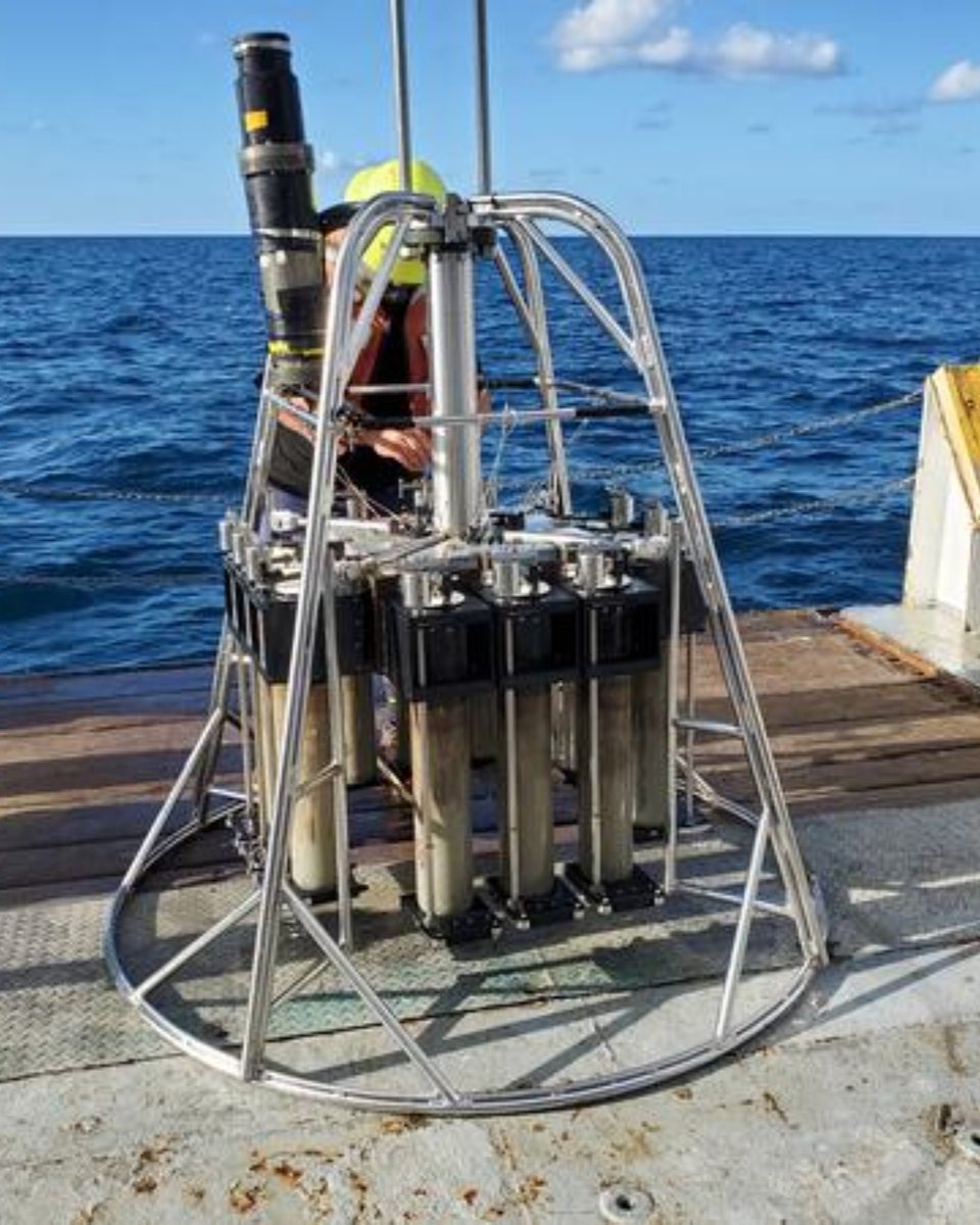 USGSAquaticLife's tweet photo. A USGS-led expedition set sail into the northern Gulf of Mexico this month to examine and characterize seafloor communities in areas impacted by the Deepwater Horizon oil spill: https://t.co/Tlsps3PZ2t https://t.co/heGgZwh06e
