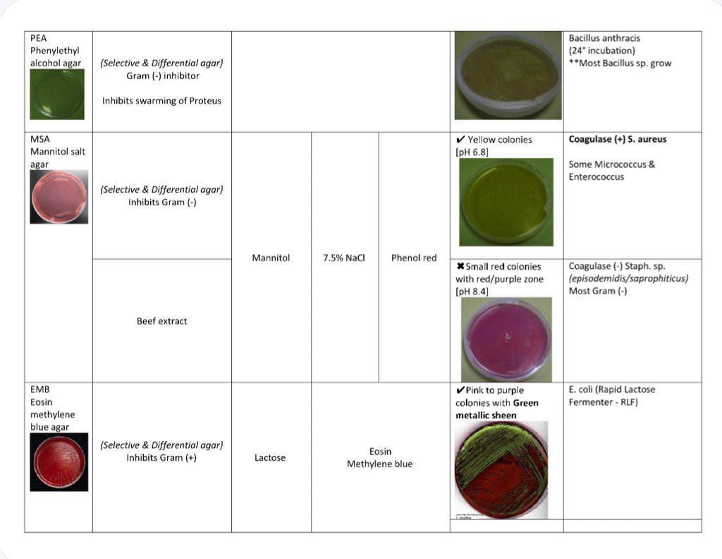 مختبرات طبية tweet media