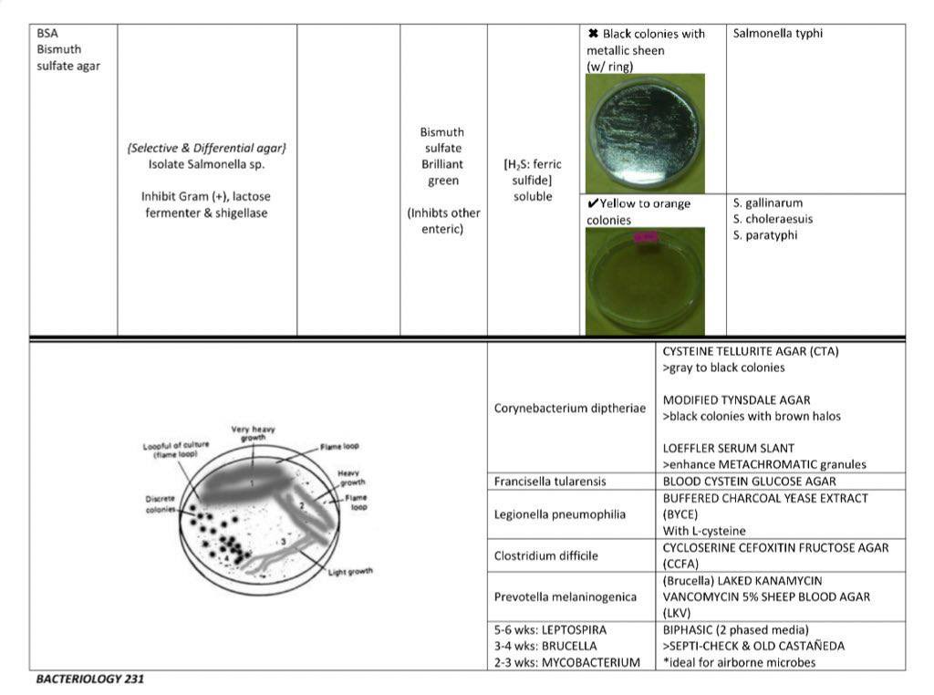 مختبرات طبية tweet media