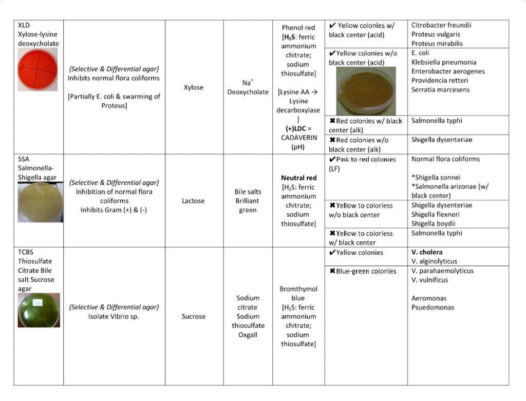 مختبرات طبية tweet media