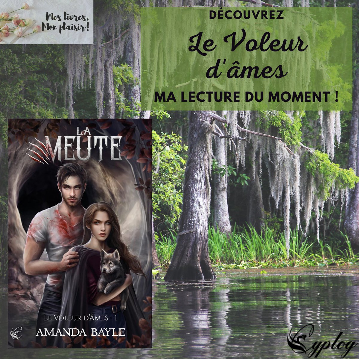 Mes livres, mon plaisir ! tweet media