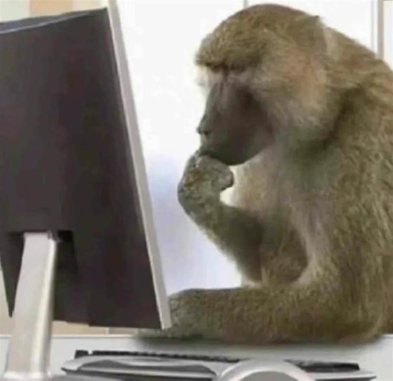 SPC Card tweet media