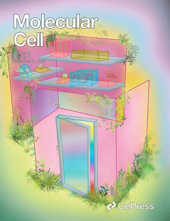 Something a bit different @MolecularCell - 4 Q&As, which we hope will inspire our readers to consider how molecular biology can have 📈and 📉impacts on the environment and how subtle shifts in lab practices or new research directions can help. cell.com/molecular-cell…