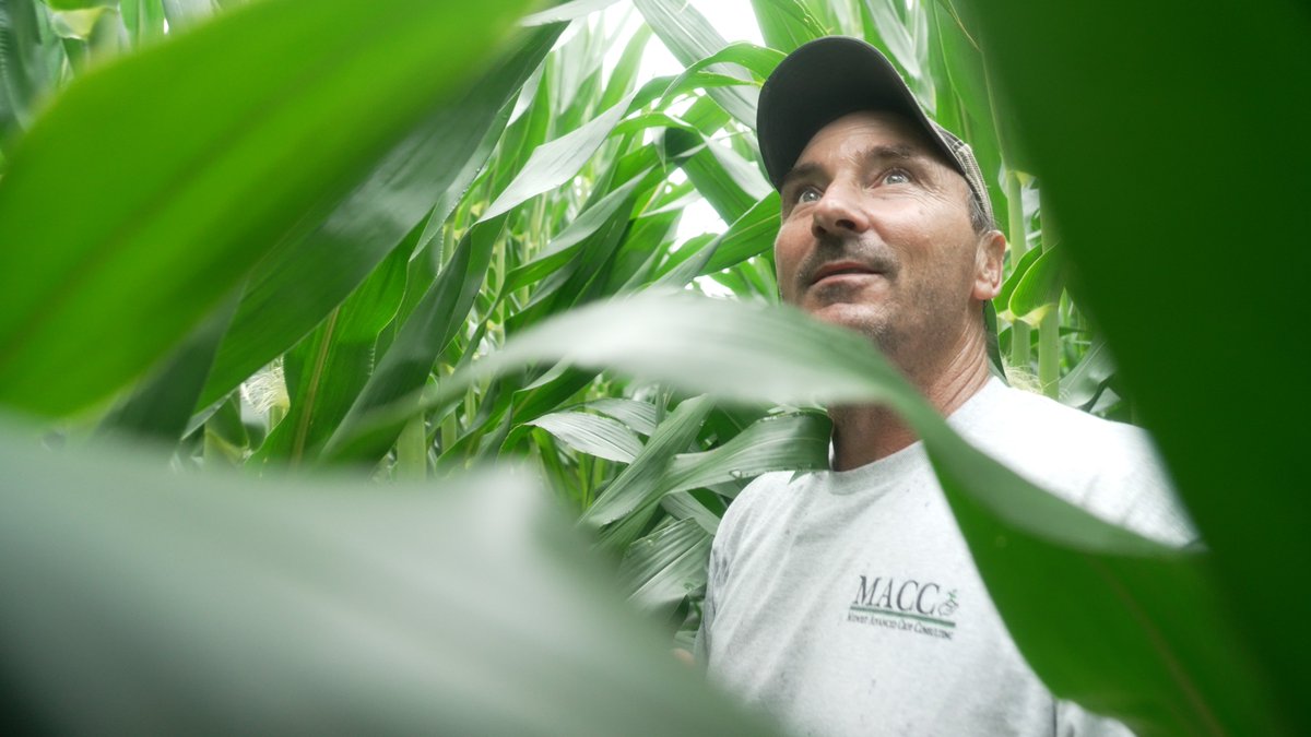 The season 2 premier of Live To Farm airs THIS Thursday on @rfdtv at 9:30pm ET! And we're kicking it off with a very special segment you won't want to miss. 🚜
Can't tune in Thursday? Catch it live on @discovery on Saturday at 6am ET!
<a href="/bigyieldscorn/">Kalb Farms</a> <a href="/BrooksCardinal/">Brooks Cardinal</a>