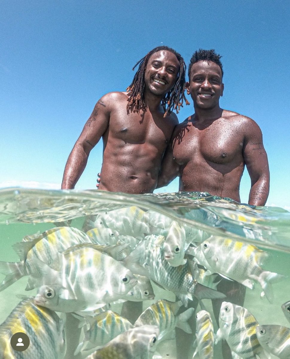 albertopereiraj's tweet photo. quem dera ser um peixe… e ter um marzão pra me refrescar nesse calorão que tá fazendo! Socorro! 🥵🫠@PedroBianucci 🤎🫶🏿
#japaratinga #mar #viagem https://t.co/hjidX7hUcq