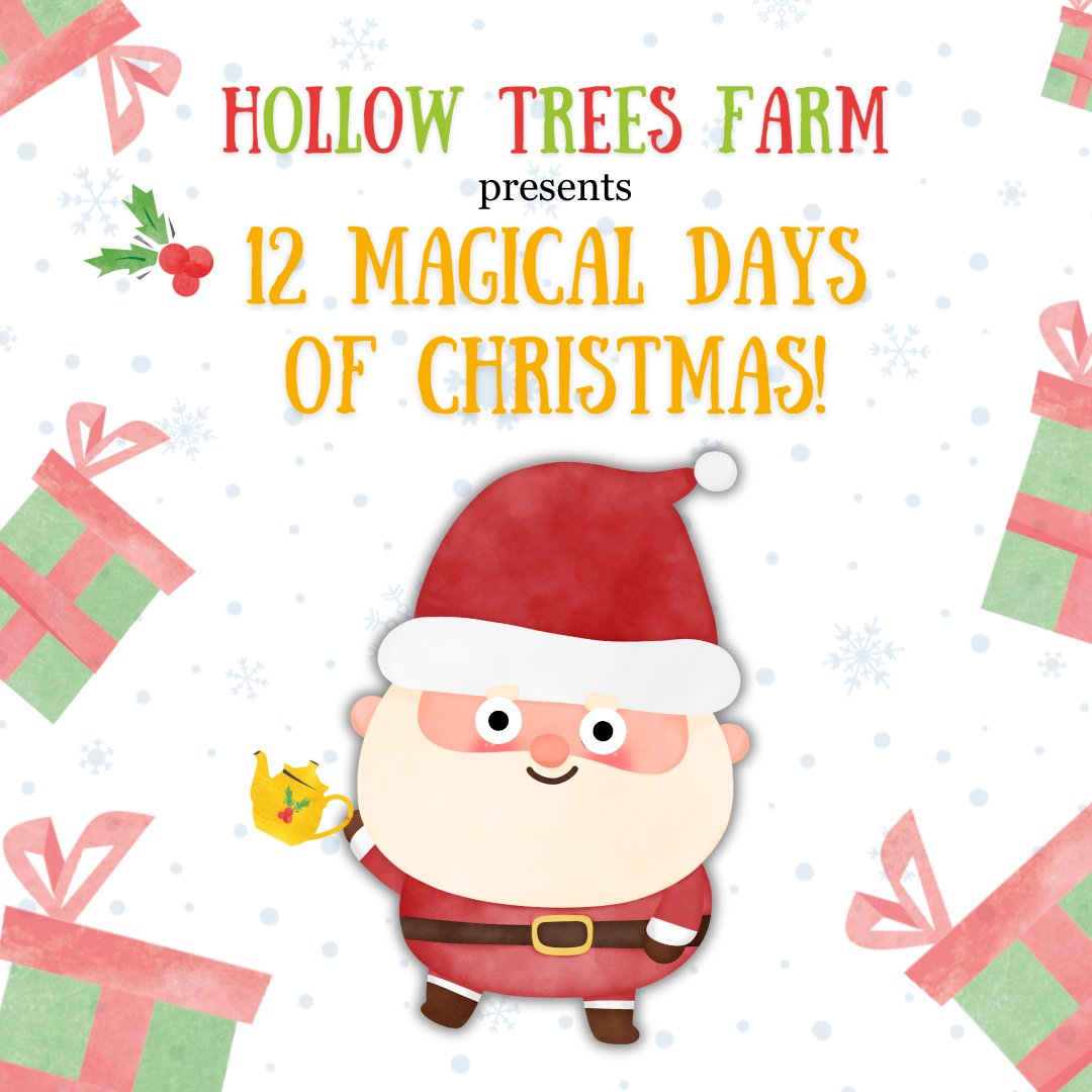 Tickets are available now for Breakfast, Lunch and Tea with Santa 2023!
Click here to find out more and to book tickets
hollowtrees.co.uk/trail-with-san…
