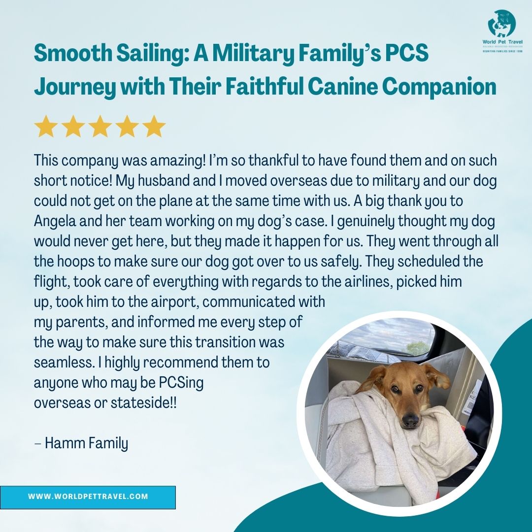 WorldPetTravel's tweet photo. We love hearing from happy clients! 😍🐾 Check out this positive review from Hamm Family about our pet travel services.

Call us at +1-214-396-5070 or WhatsApp at +1-214-425-7333. 📩Email Info@WorldPetTravel.com

#petshippingexperts #worldpettravel #ipata #pettravelexperts https://t.co/zT0tCmPIBs