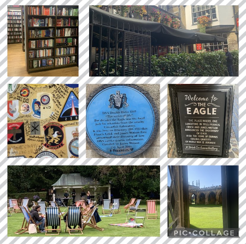 AnnaHarding20's tweet image. 