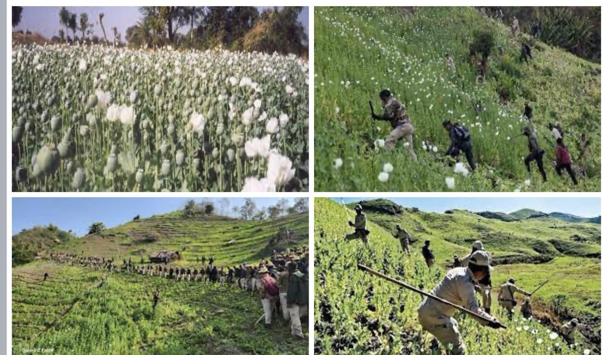 ManipurTimes's tweet photo. ZRA Exposed 

“The destruction of poppy plantations during 2017-2023 probably angered the drug lords and mafias mostly of the Kuki community.” The ZRA is angry and their anger is burning Manipur. They should be stopped at once #ManipurAgainstZRA #ZRAXposed 
#KNA_Xposed #NRCLaoBharatBachao #ManipurFightsBack 

https://t.co/ttbCjunzqM

@ShivAroor
@nistula
@nabilajamal_
@maryashakil
@vijaita
@NPDay
@thakur_shivangi
