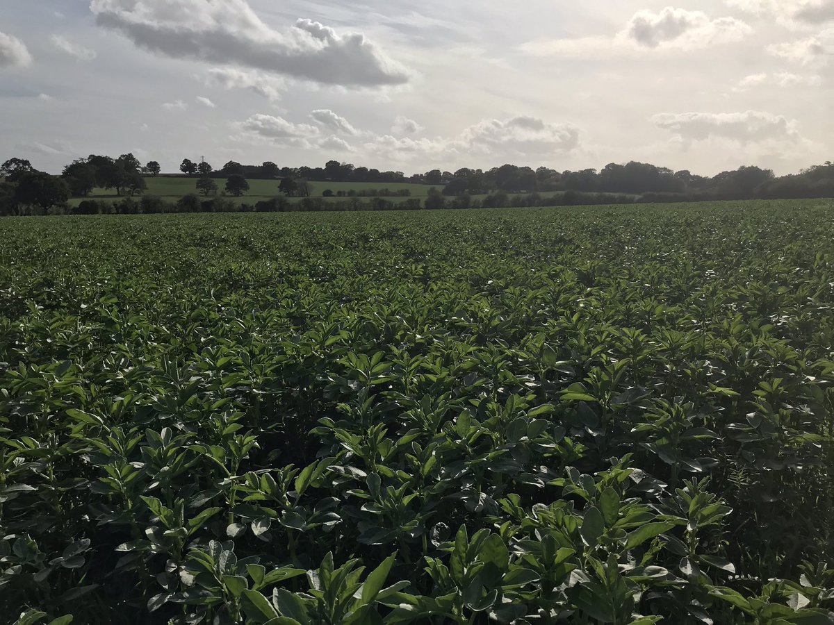 Tim Parton tweet media