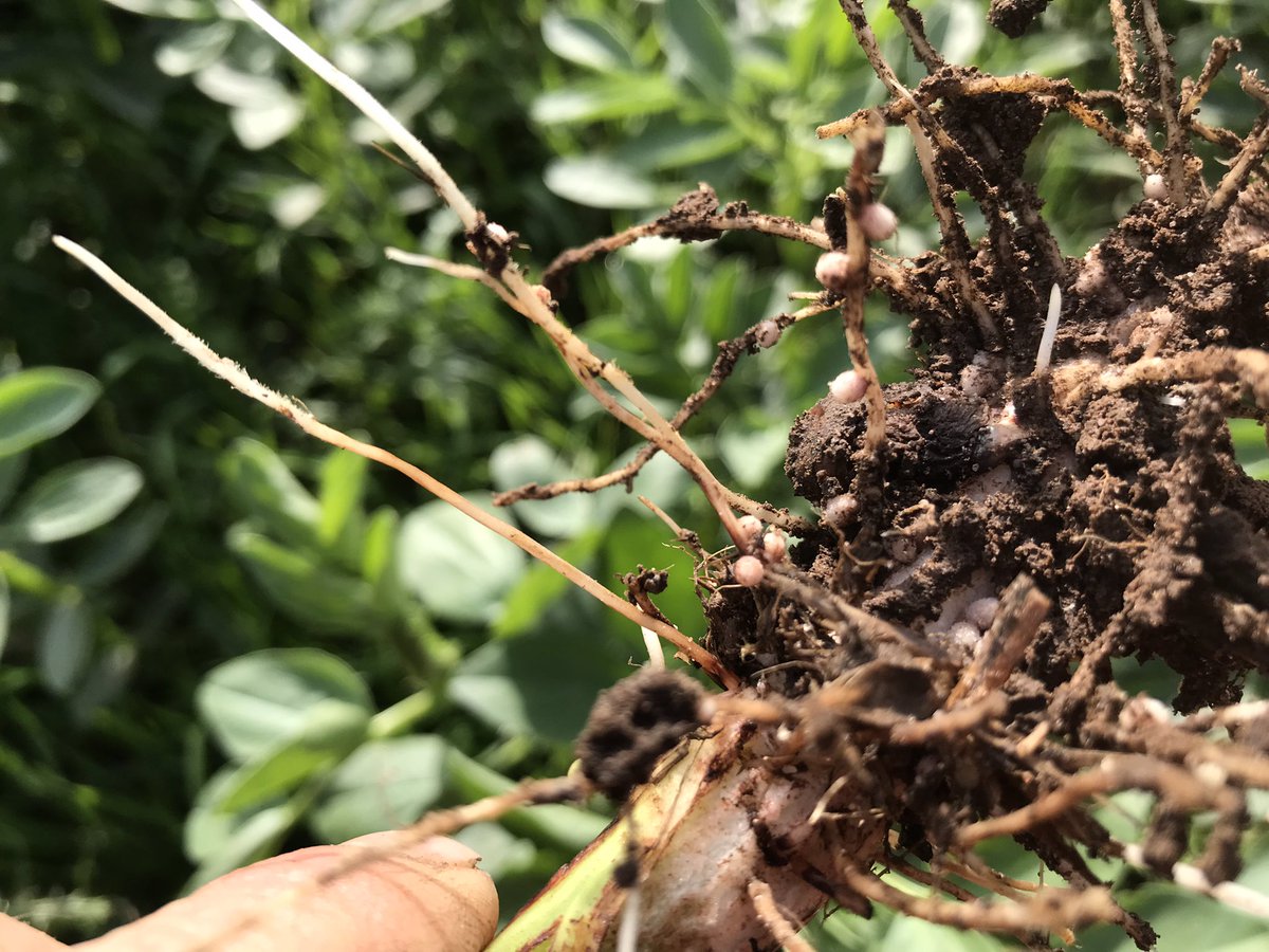 Tim Parton tweet media