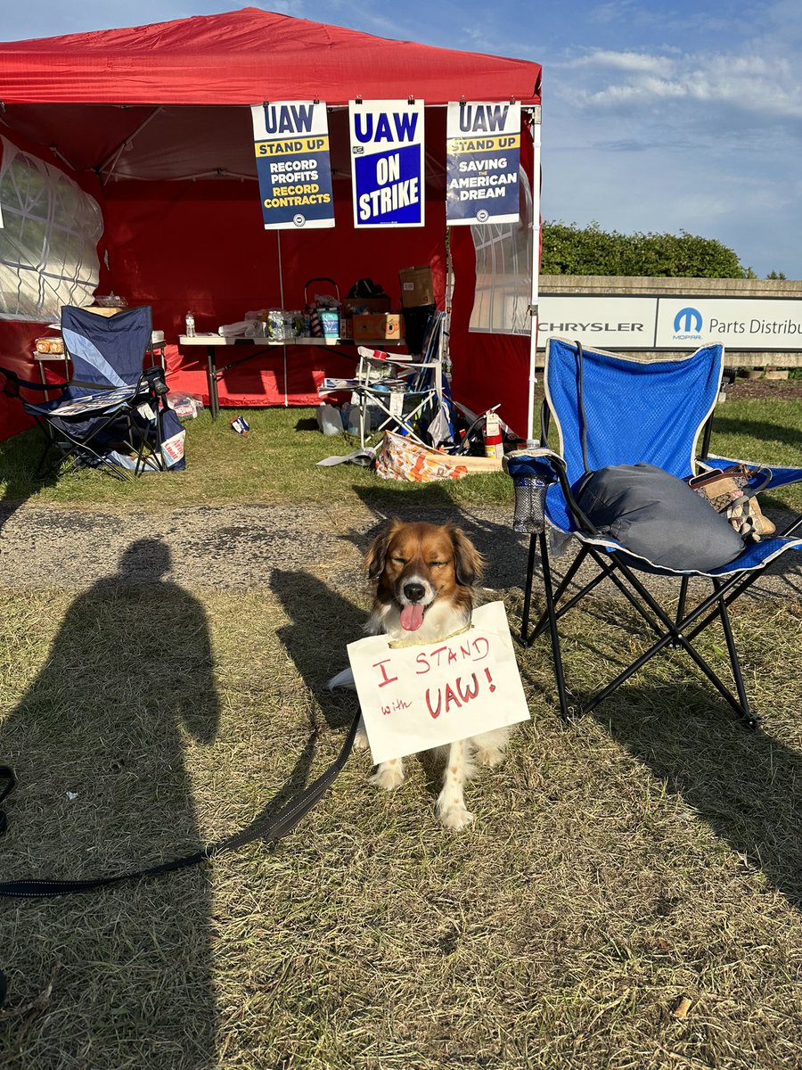 MeganBehrent's tweet photo. On the picket line with @UAW local 1178. Solidarity with all UAW workers fighting corporate greed! This @PSC_CUNY dog knows that she has unions to thank for the food in her bowl #StandUpUAW #uniondogs #dogsagainstcorporategreed #UnionSolidarity https://t.co/D1JDbdXU9u