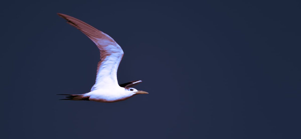 Pasni Balochistan
 .
.
 
.
@shahid__majeeed 
.
.
.
#baloch #balochistan #balochi #balochisong #balochidress #balochisongs #balochestan #balochivideos #balochifilm #balochimusic #balochistani #balochiculture #balochidoch #balochsaaz  #balochistanispakistan #Balochipoetry #pasni