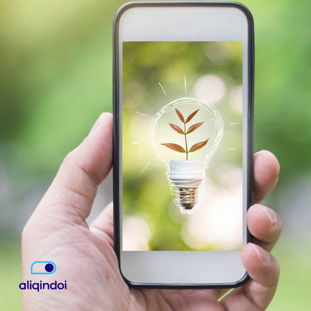 Aliqindoi tweet media