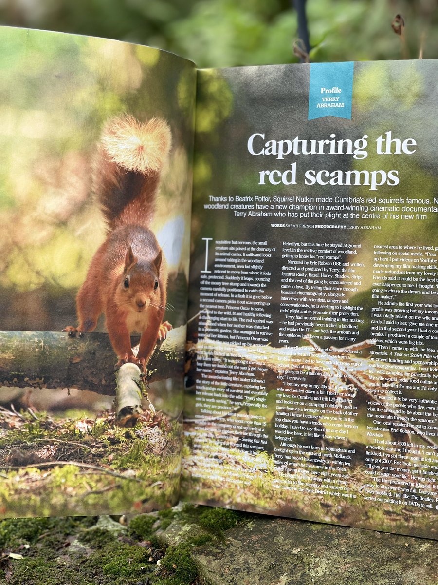 Terry Abraham tweet media