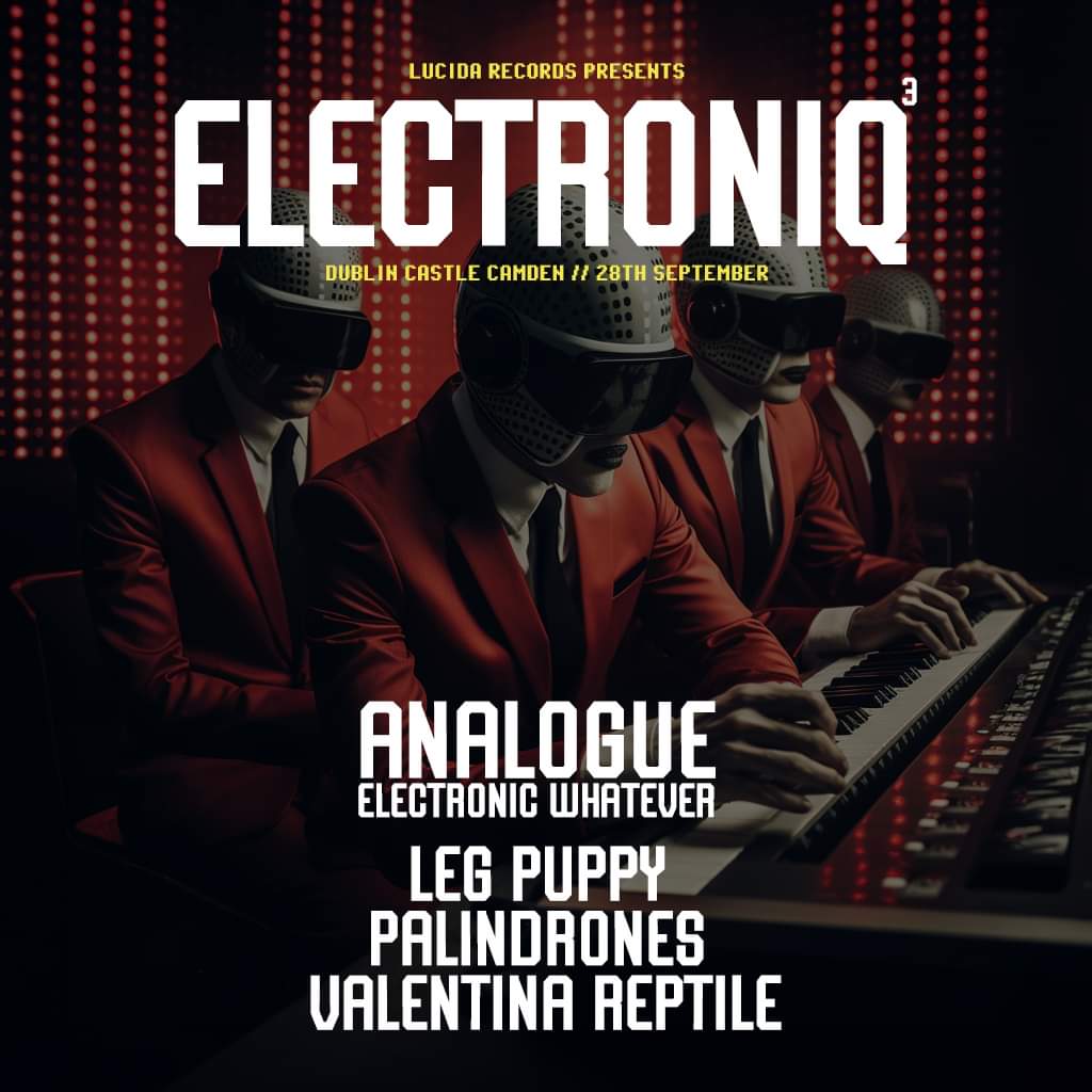 @DublinCastle #ELECTRONIQ Thur 28 Sept 7.30pm #AanalogueElectronicWhatever @Legpuppymusic #ValentinaReptile    @Palindrones1  -  superb progressive electropop. Beautiful music, beautiful people. Cheaper @WeGotTickets @Gigwise @gr8musicvenues @NewJournal @roisingadelrab @