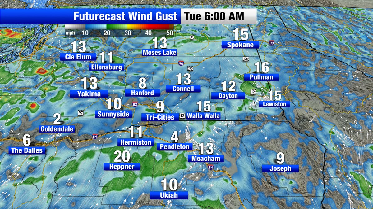 siggyserokatv's tweet photo. Expect a moderate breeze (13-18mph) with these strong gusts this afternoon as showers will return to the forecast area after lunch. Breezy to gusty on Tuesday with more showers as we're looking at a pretty dreary week ahead.
#wawx #orwx #fallwx https://t.co/6DPRkovfp0