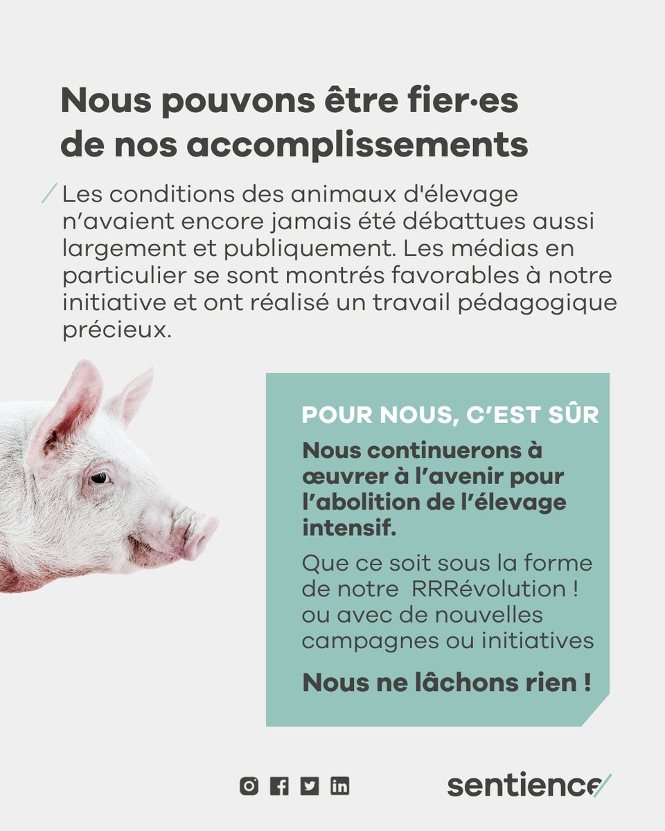 Le temps passe tellement vite 🍃⌚️⁠
Nous continuerons à nous engager pour les animaux d'élevage à l'avenir. Vous aussi ? 

Devenez membre chez Sentience et soutenez durablement notre travail pour les animaux 🐷 sentience.ch/fr/devenir-mem…