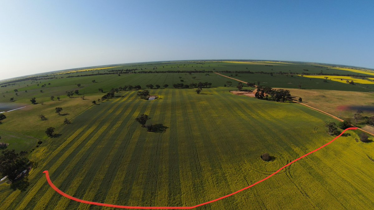 dingo71113's tweet image. Seeing some good results around with spader on clay over sand. Keen to see how it all goes. We now have ripping and spading available as well or just spading 
Servicing victoria and sa. If you would like to book in or would like to know more  feel free to call on 0411782853.