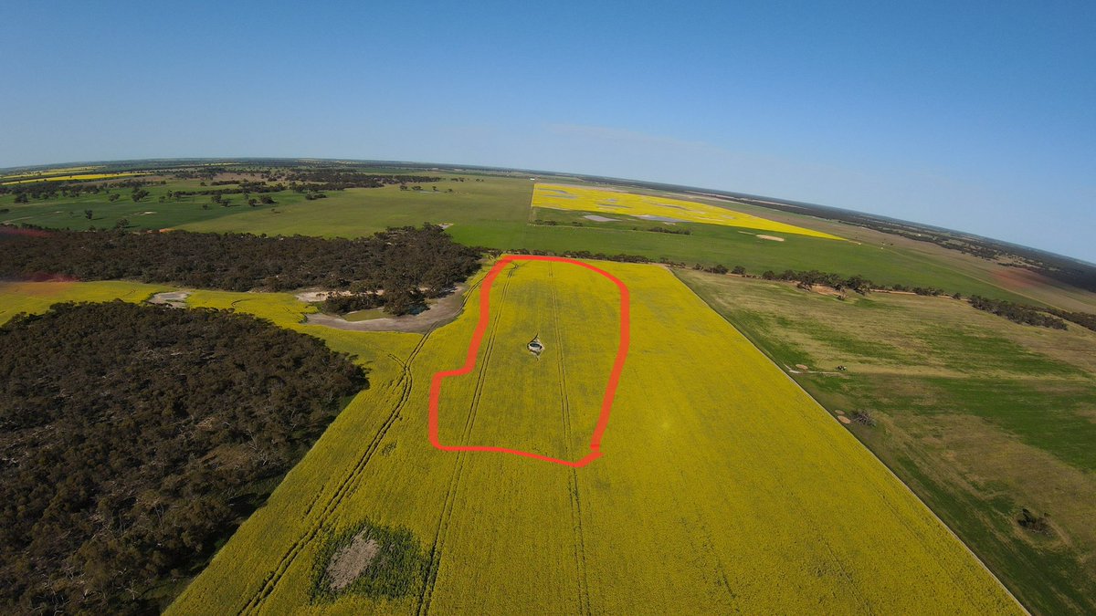 dingo71113's tweet image. Seeing some good results around with spader on clay over sand. Keen to see how it all goes. We now have ripping and spading available as well or just spading 
Servicing victoria and sa. If you would like to book in or would like to know more  feel free to call on 0411782853.