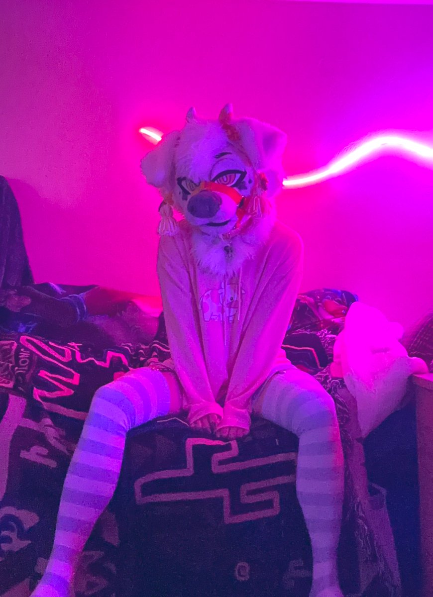 MangoPubby's tweet photo. I AM CHINESE AND MY OC IS A WHITE PUPPY!!! #兽装

#BEYONDTHEFANDOM
#BMO #FURSOFCOLOR https://t.co/cf838dH7CD