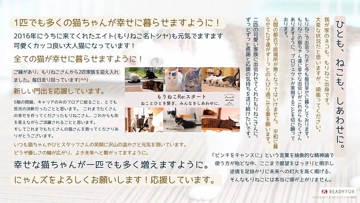 morineko_cafe's tweet photo. 日付けが変わり、クラファンは残り3日となりました。皆さまからのしあわせを願う #READFOR サイトメッセージに心打たれます🥹
ハッシュタグ企画 #もりねこReスタートを応援 もよろしくお願いいたします♪
▶https://t.co/0rWwBjLrG9
現在10/7㈯リニューアルオープンに向けて準備中〜
#もりねこ https://t.co/qaOW73stM5