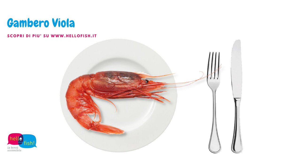 Questa settimana conosciamo meglio il Gambero viola, (Aristeus antennatus), crostaceo di medie dimensioni dal carapace robusto e munito di spine. È di colore rosso chiaro o roseo, con sfumature violacee. A tavola è gustosissimo!
Scopri di più su hellofish.it
#hellofish