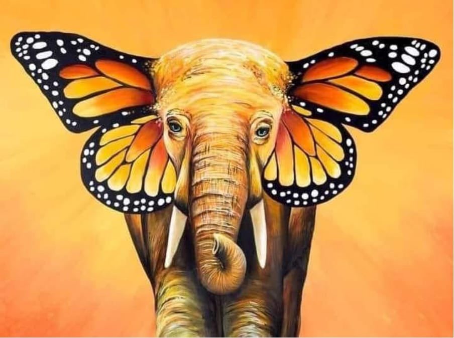 thenanaaba's tweet image. Ah.