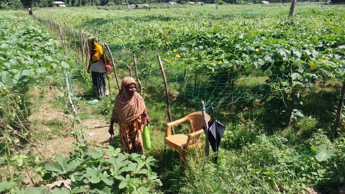 NLinBD1's tweet photo. 🇳🇱Emb. team visiting Cox's Bazar to observe 🇳🇱funded activities, both @ host community &amp; Rohingya camps. #GozaliaAggregationCentre Ramu supports farmers to increase productivity &amp; income with better market access. @UNHCR_BGD @FAOBangladesh @DutchMFA @wjpgeerts @WFPAsiaPacific https://t.co/zBSULq1jZL