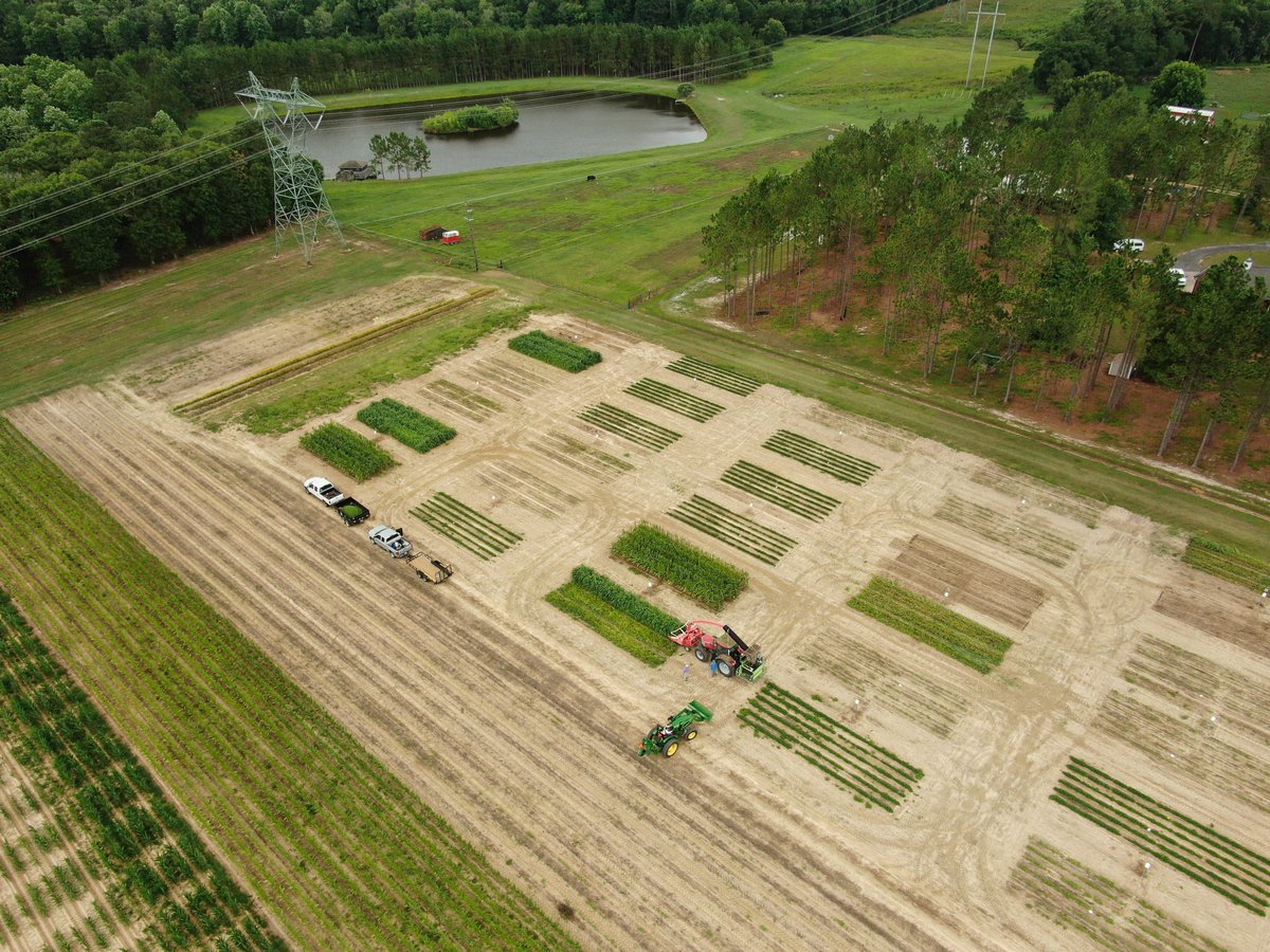 phytofrontiers's tweet photo. Editor’s Pick! Suraj Sapkota et al. identified several #endophytes in warm-season grasses, which could enhance plant growth or grass nitrogen levels by using nitrogen fixation.

🔓 Read their paper: https://t.co/QyENAb7Bt8

@suraj0219 @APS_Turfgrass https://t.co/ubPDvqJfPz