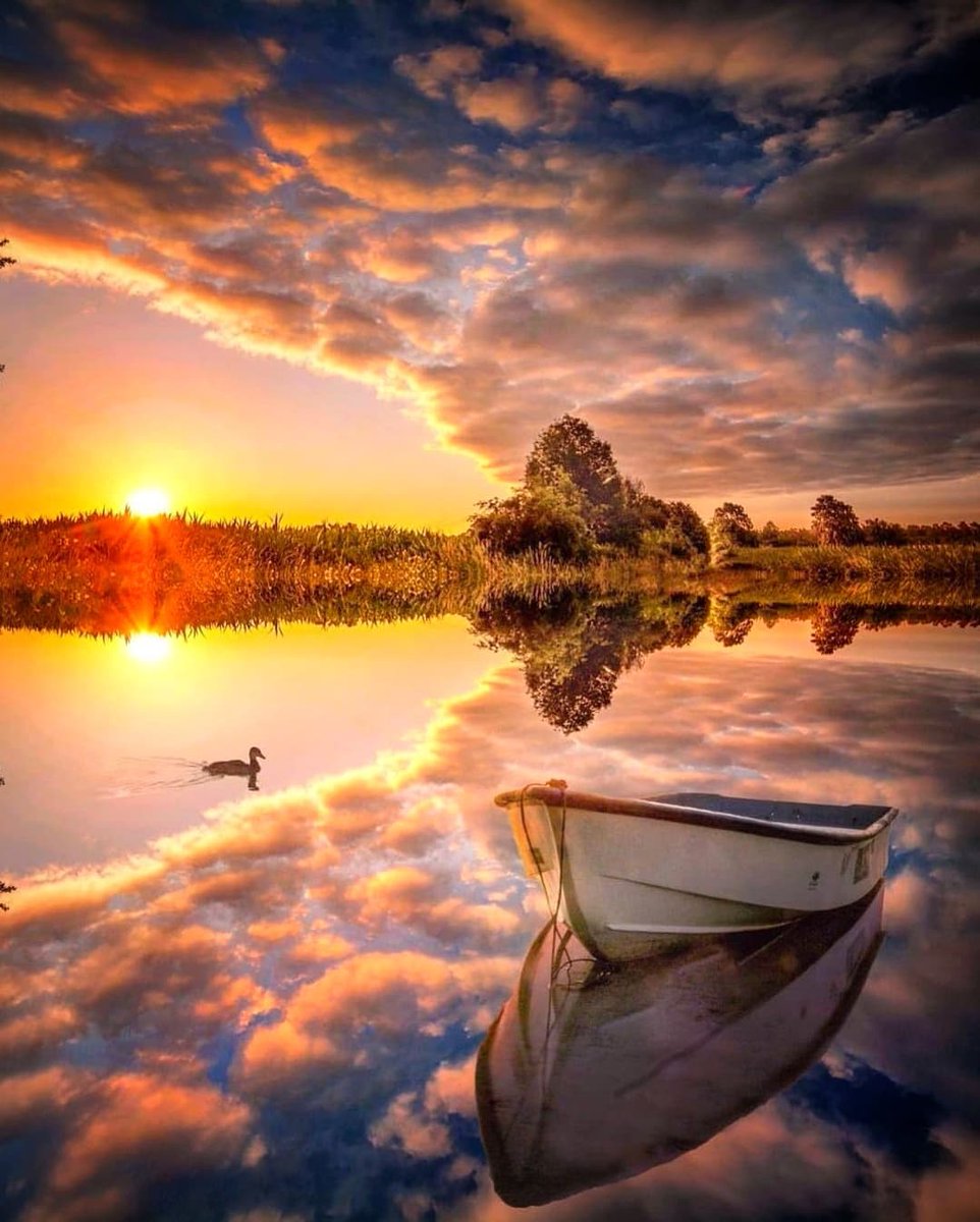 TLeoni311's tweet photo. Good evening 💫 🧡 https://t.co/LUaxVEB8OZ