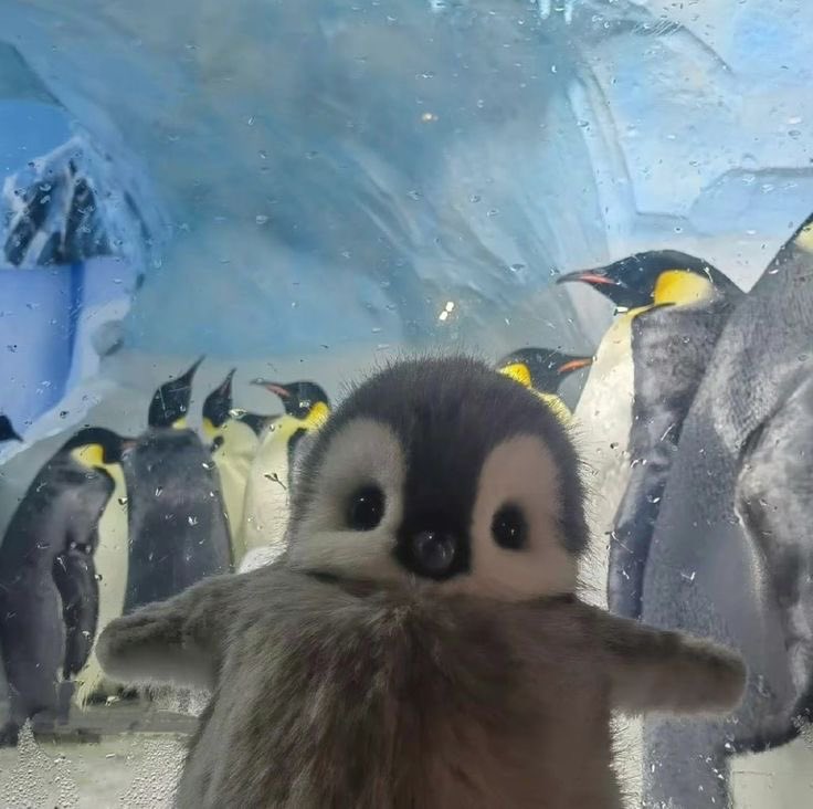 pictures's tweet image. 