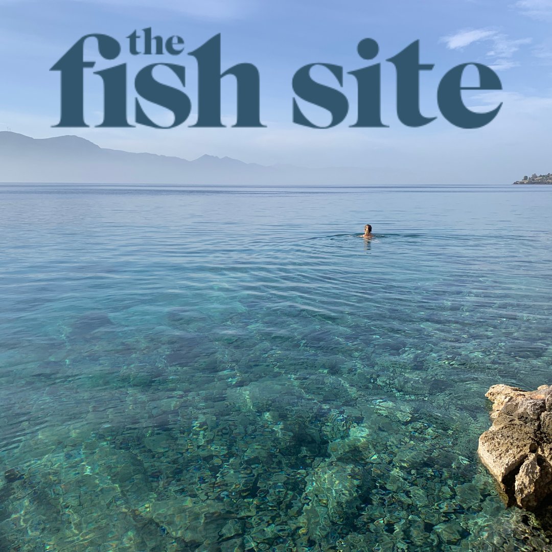 Curious_PR's tweet image. 🐟📰 Great to see coverage on @TheFishSite about the critical issue of fish farming on #Poros, where expansion would result in a 'net loss' - Read the full article: thefishsite.com/articles/greek… #SavePoros