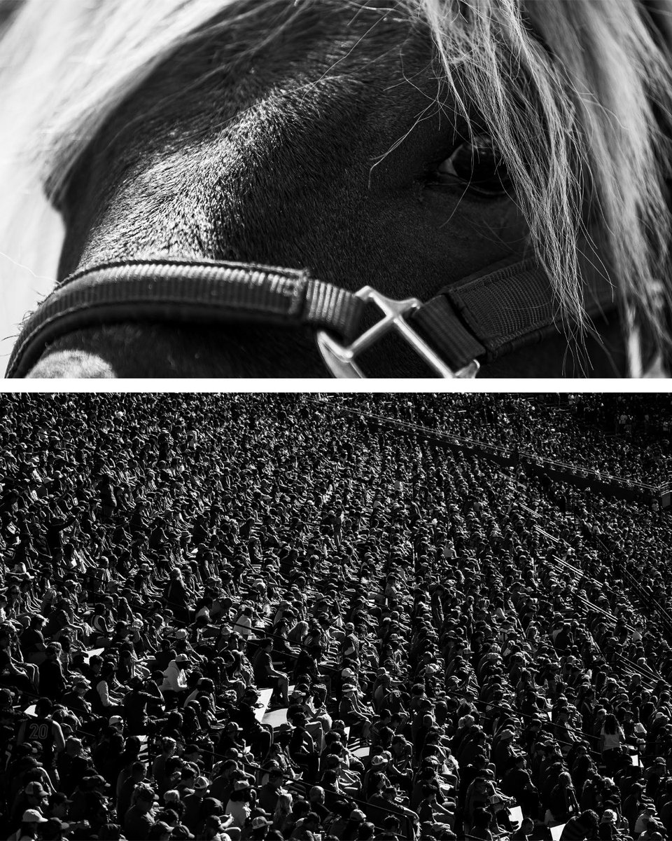 Dakota Moyer tweet media