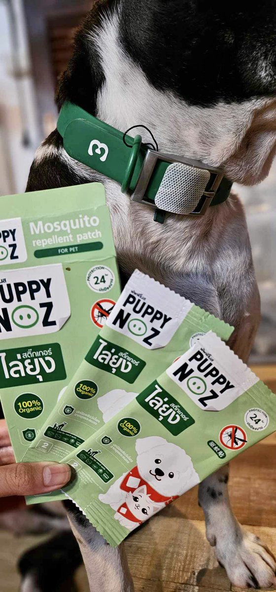 Ratchap96848713's tweet photo. สติ๊กเกอร์ไล่ยุงสัตว์สำหรับสัตว์เลี้ยง “PUPPY NOZ” 
อ่อนโยน ปลอดภัย เพราะเป็นออร์แกนิค 100% 
ไม่มีสารตกค้าง ไม่เป็นอันตราย ต่อสัตว์เลี้ยง 🦟❌
#ReviewPuppyNoz #พัพพีโนส #puppynoz #สติ๊กเกอร์ไล่ยุงPuppyNoz #สัตว์เลี้ยง #ไล่ยุง https://t.co/IF8UGrlHwK