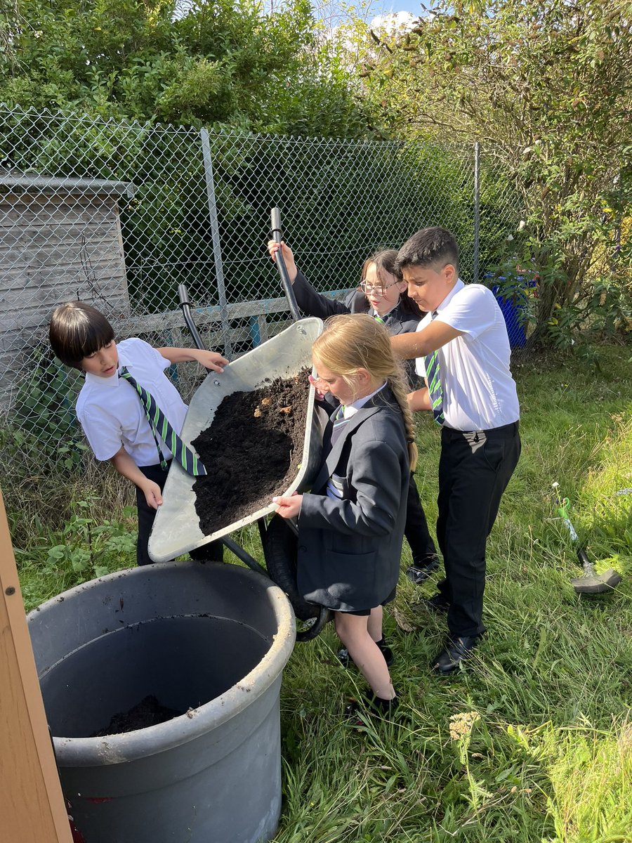 Springwest Blooms tweet media